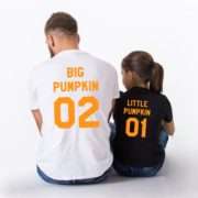 little-pumpkin-01-big-pumpkin-02-1