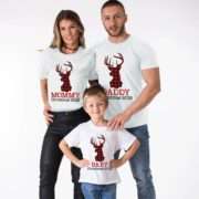 Christmas Plaid Deer Shirts, Mommy Daddy Baby, Matching Family Shirts
